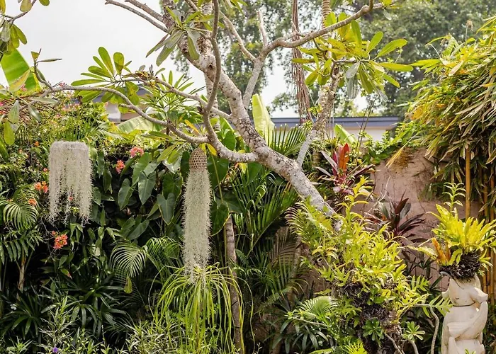 Charming, Homely, Pool, Lush Gardens, Umalas, Cozy ケロボカン